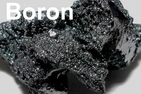 Benefits of Boron Nootropics