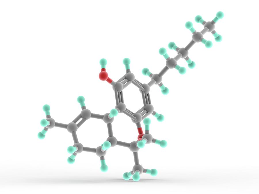 Best THC-B Products Reviewed